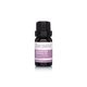 Lavender Bud Essential Oil